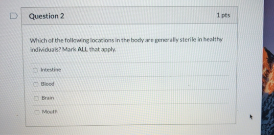 Question 2 1 pts Which of the following locations in the body are generally sterile in healthy individuals? Mark ALL that app