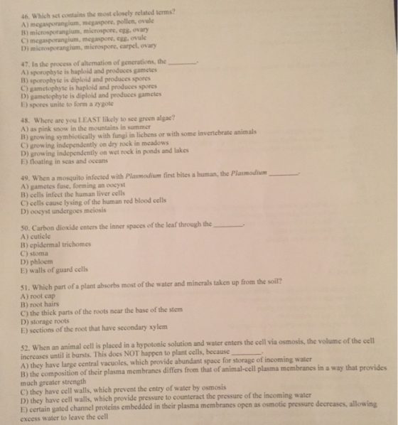 Which set contains the most closely related terms?