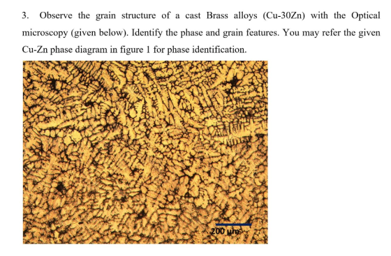 3. Observe the grain structure of a cast Brass alloys (Cu-30Zn) with the Optical microscopy (given below). Identify the phase