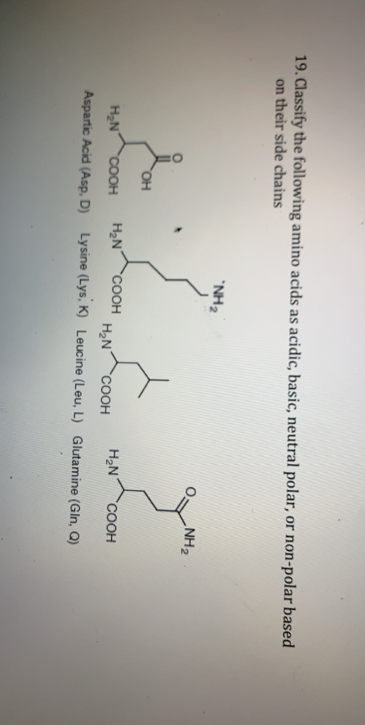 19. Classify the following amino acids as acidic, basic, neutral polar, or non-polar based on their side chains NH2 NH2 ОН C