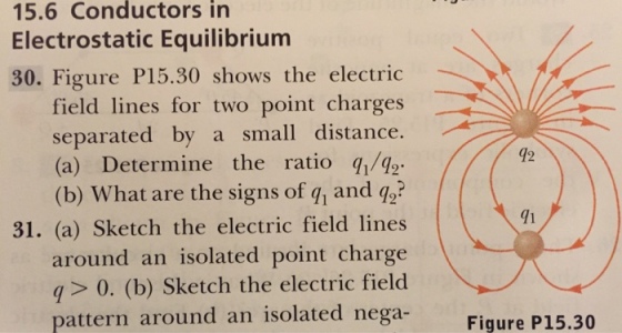 Figure P15.30 shows the electric field lines for t