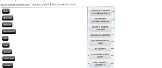 How do create a concept map2 l How am Lgraded? I s