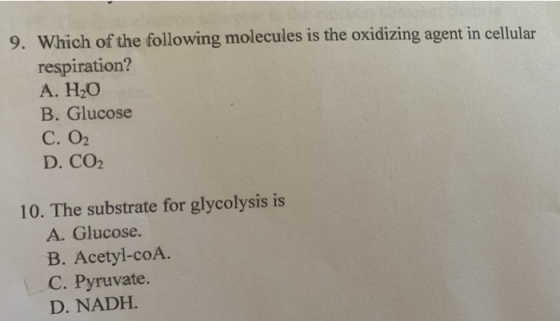 9. Which of the following molecules is the oxidizing agent in cellular respiration? A. H2O B. Glucose C.O2 D. CO2 10. The sub