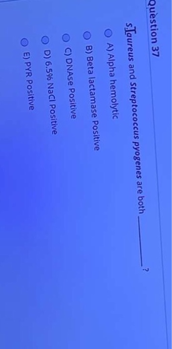 Question 37 S. aureus and Streptococcus pyogenes are both A) Alpha hemolytic O B) Beta lactamase Positive O C) DNAse Positive