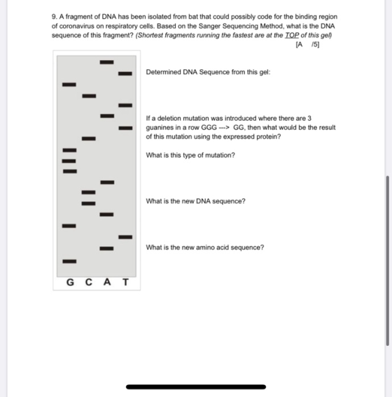 9. A fragment of DNA has been isolated from bat that could possibly code for the binding region of coronavirus on respiratory