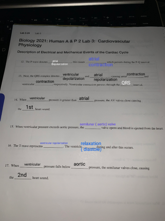 backspace home Lab 3-24 Lab 3 Biology 2021: Human A & P 2 Lab 3: Cardiovascular Physiology Description of Electrical and Mech