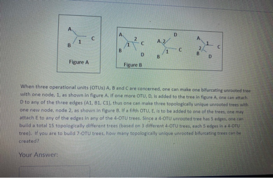 C. A 2 1. Figure A Figure B When three operational units (OTUS) A, B and Care concerned, one can make one bifurcating unroote