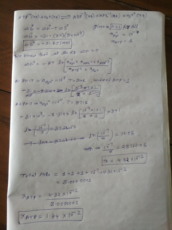 a) H 37丁 7 2. 12 3-0000002 1 2