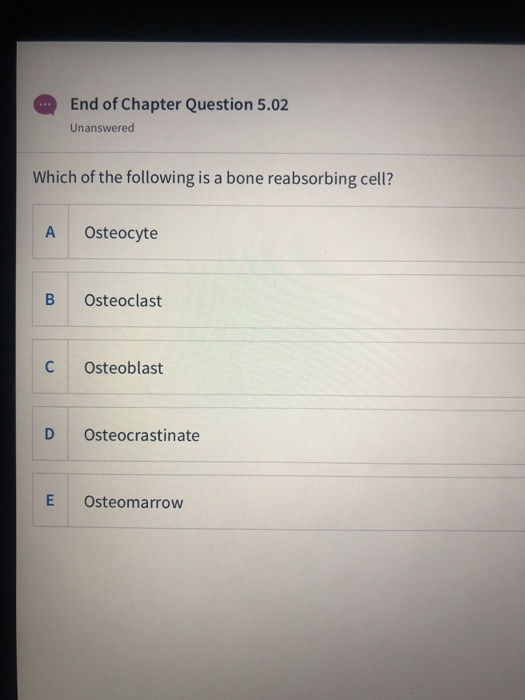 End of Chapter Question 5.02 Unanswered Which of the following is a bone reabsorbing cell? A Osteocyte B Osteoclast C Osteobl