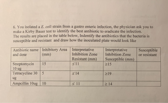 6. You isolated a E. coli strain from a gastro enteric infection, the physician ask you to make a Kirby Bauer test to identif