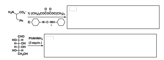 оо HN .CO2 1) (CH3)3COCOCOC(CH3)3 Ph 2) -N=C: NH- + CHO HO FH PhNHNH2 H+OH (3 equiv.) H-OH HO+H CH2OH