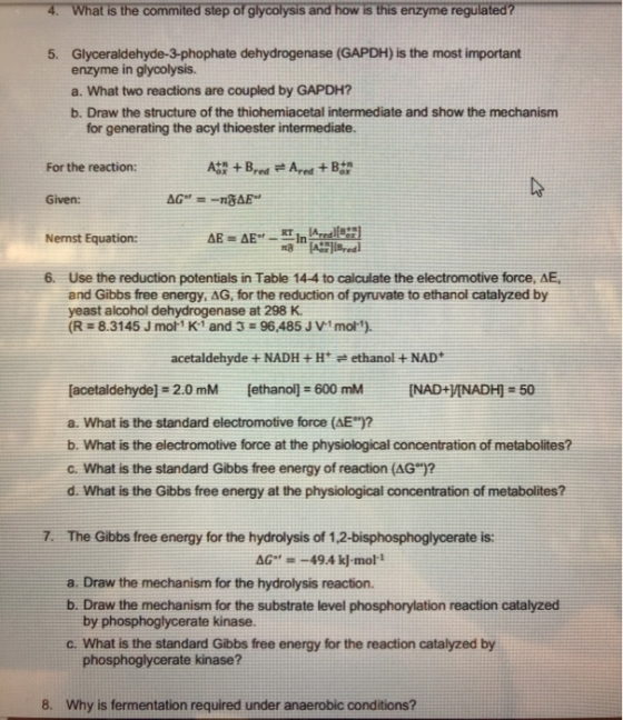 4. What is the commited step of glycolysis and how is this enzyme regulated? 5. Glyceraldehyde-3-phophate dehydrogenase (GAPD
