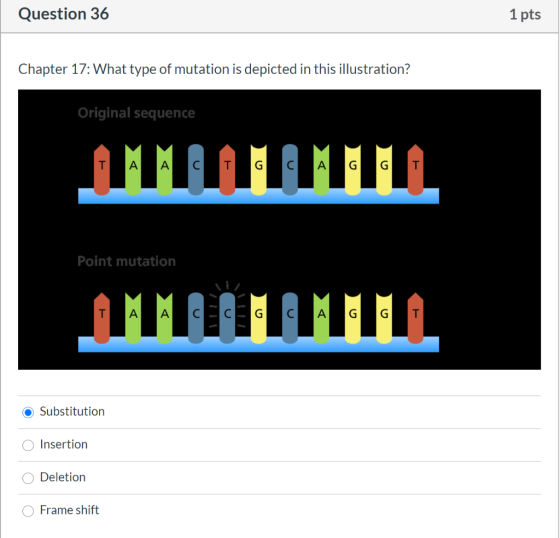 Question 36 1 pts Chapter 17: What type of mutation is depicted in this illustration? Original sequence T A A с T G C A GG T