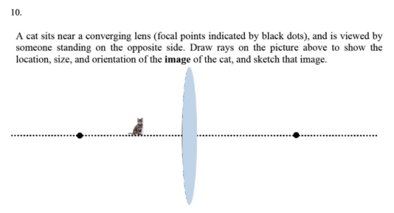 10. A cat sits near a converging lens (focal points indicated by black dots), and is viewed by someone standing on the opposi