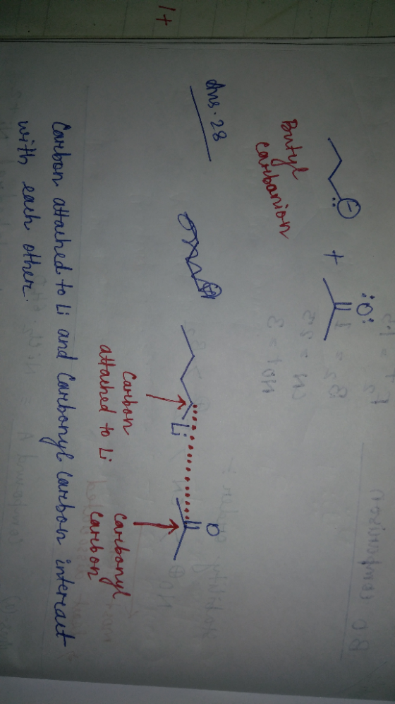 Butyl corbanion Eston dis. 28 7+ Carbon caribonyl attached to i carbon corebon attached to Li and courbonyl courbon interrat