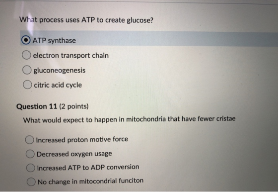 What process uses ATP to create glucose? O ATP synthase electron transport chain O gluconeogenesis O citric acid cycle Questi