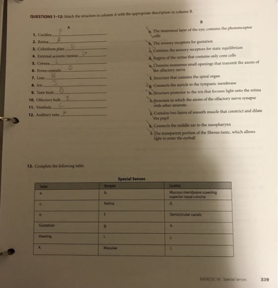 QUESTIONS 1-12: Match the structure in column A with the appropriate description in column B. The innermost layer of the eye