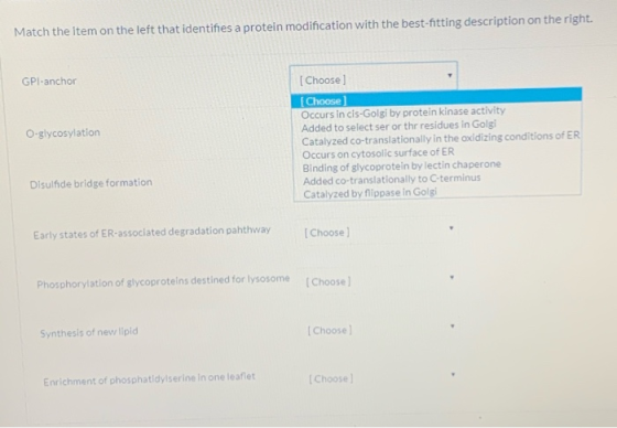 Match the item on the left that identifies a protein modification with the best-fitting description on the right GPl-anchor O