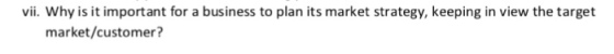 vii. Why is it important for a business to plan its market strategy, keeping in view the target market/customer?