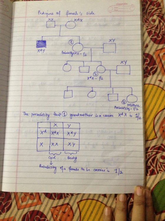 Pediqre Ic ticl xy ХАУ xy 2. Potaih-12 The probabtli dod 冲