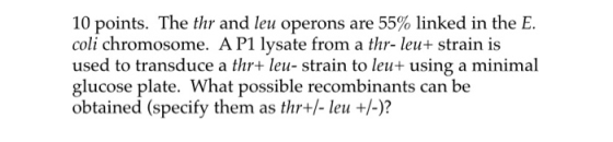 10 points. The thr and leu operons are 55% linked in the E. coli chromosome. A P1 lysate from a thr-leu+ strain is used to tr