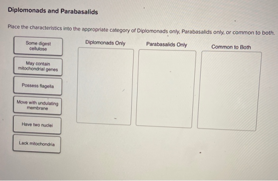 Diplomonads and Parabasalids Place the characteristics into the appropriate category of Diplomonads only, Parabasalids only,