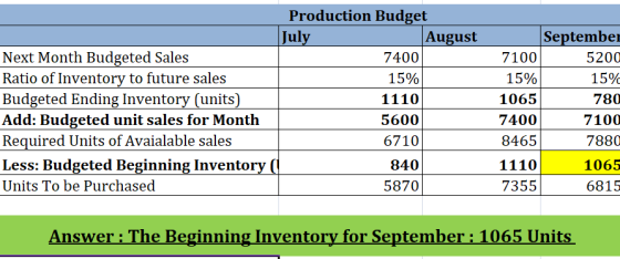 Production Budget July August September Next Month Budgeted Sales Ratio of Inventory to future sales Budgeted Ending Inventor