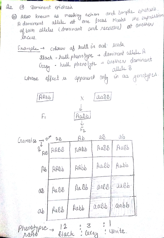 omnant epistasi () Also known as maaking ach on cuolNmple Iputa12 dominant clsl A allale B ARbb Xaa Ft b 0 ab bbAa8Aabb