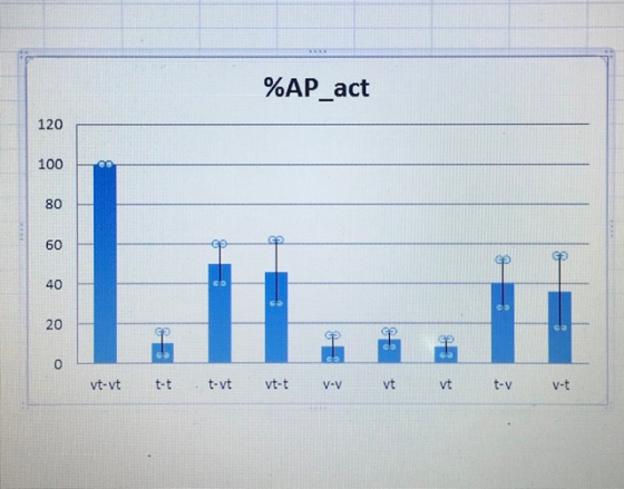 %AP_act 120 100 vt-vt t- t t-vt vt- t v-v vt vt t-v vt