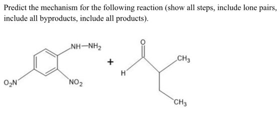 Predict the mechanism for the following reaction (show all steps, include lone pairs, include all byproducts, include all pro