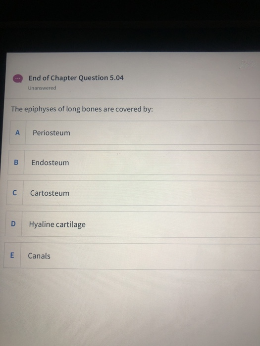 End of Chapter Question 5.04 Unanswered The epiphyses of long bones are covered by: A Periosteum Endosteum C Cartosteum Hyali