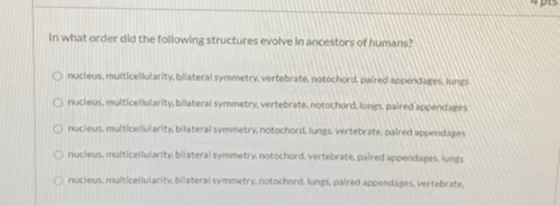 In what order did the following structures evolve in ancestors of humans? nucleus, multicellularity, bilateral symmetry, vert