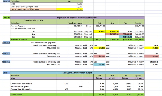 Step 3.3 Particulars Jan Sales Less: Gross profit (25%) on Sales Cost of Goods sold (75% ) on Sales 48,000 12,000 36,000 3b E