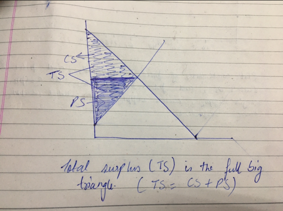 total surphis (TS) is the full big trangle. (TS. CS + PS)