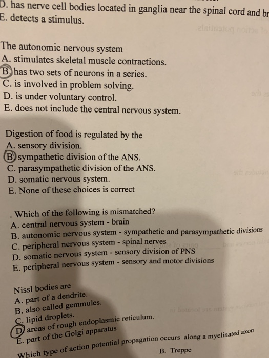 D. has nerve cell bodies located in ganglia near the spinal cord and br E. detects a stimulus. The autonomic nervous system A
