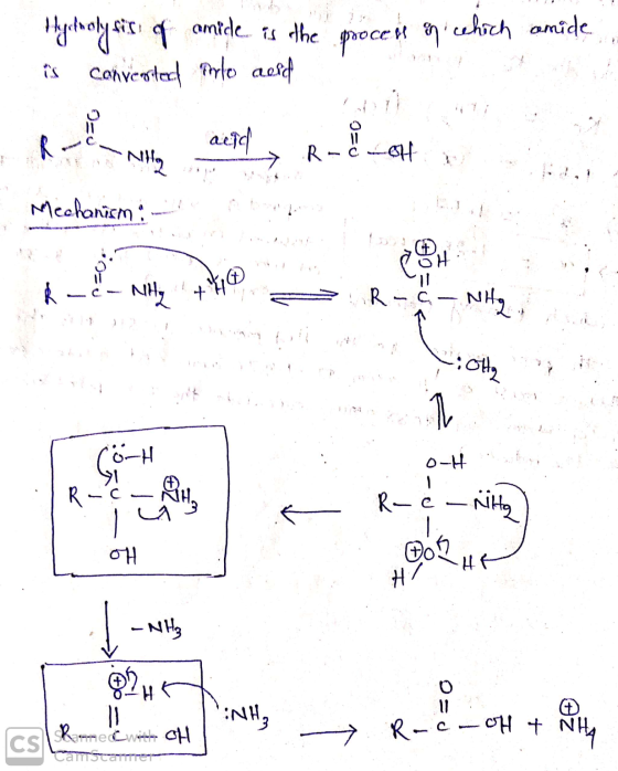 Hydrolysis of amide is the proces a which amide îs converter Pirlos acord ditta R-S_OH -Nilla Mechanism : – N c- NH4 + H = R