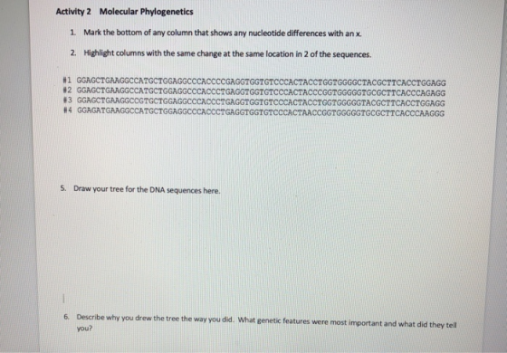 Activity 2 Molecular Phylogenetics 1. Mark the bottom of any column that shows any nucleotide differences with an x. 2. Highl