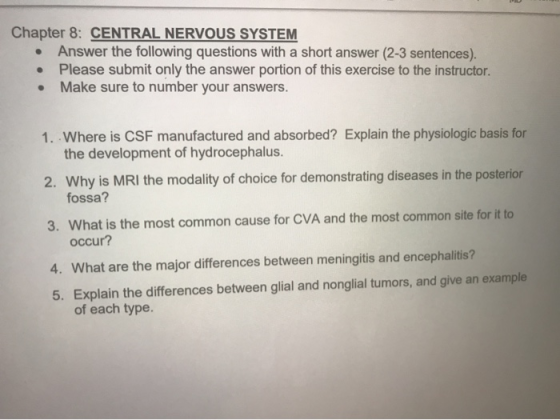 Chapter 8: CENTRAL NERVOUS SYSTEM Answer the following questions with a short answer (2-3 sentences). • Please submit only th