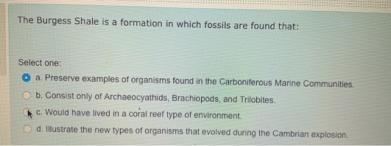 The Burgess Shale is a formation in which fossils are found that: Select one: O a. Preserve examples of organisms found in th