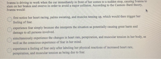 Ivanna is driving to work when the car immediately in front of her comes to a sudden stop, causing Ivanna to slam on her brak