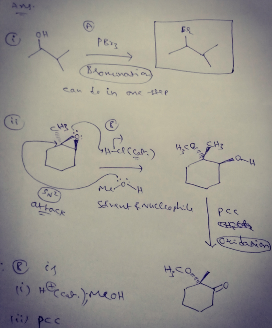 Any Ans. OH PBB Bromination de in one step can (cale) H H OH Mer (SN² attack Solvent & Nucleophile Рcc CHQSh Loridanian H₂ Co