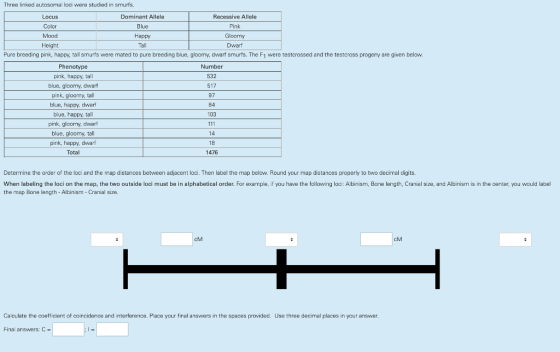 Three linked autosomal loci were studied in smurfs. Locus Color Mood Height Dominant Allele Blue Happy Recessive Allele Pink Gloomy Dwarf Pure breeding pink, happy, tall smurfs were mated to pure breeding blue, gloomy, dwarf smurfs. The F1 were testcrossed and the testcross progeny are given below. Number 532 517 97 84 103 Phenotype pink, happy, tall blue, gloomy, dwarf pink, gloomy, tall blue, happy, dwarf blue, happy, tall pink, gloomy, dwarf blue, gloomy, tall pink, happy, dwarf Total 18 1476 Determine the order of the loci and the map distances between adjacent loci. Then label the map below. Round your map distances properly to two decimal digits. When labeling the loci on the map, the two outside loci must be in alphabetical order. For example, if you have the following laci: Albinism, Bone length, Cranial size, and Albinism is in the center, you would label the map Bone length -Albinism - Cranial siza. cM cM Calculate the coefficient of coincidence and interference. Place your final answers in the spaces provided. Use three decimal places in your answer. Final answers: C