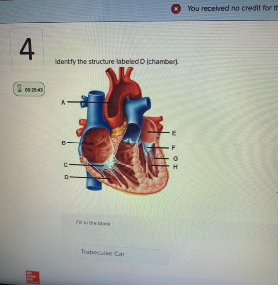 * You received no credit for ti Identify the structure labeled D (chamber). 8 00:29:43 IOT Fill in the blank Trabeculae Car