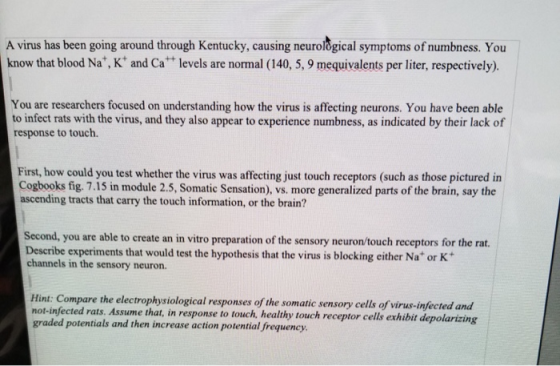 A virus has been going around through Kentucky, causing neurological symptoms of numbness. You know that blood Na*, K and Cat