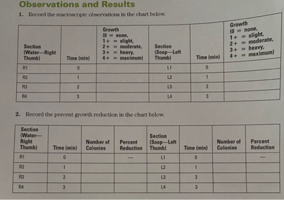 Observations and Results 1. Record the macroscopic observations in the chart below. Growth (0 = none, 1+ = slight, 2+ = moder