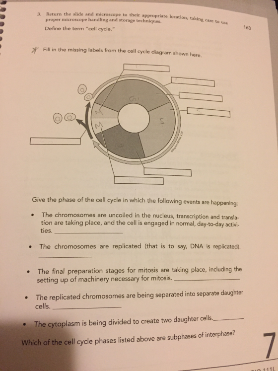 3. Return the slide and microscope to their appropriate location, taking care to proper microscope handling and storage techniques. Define the term cell cycle. use 163 Fill in the missing labels from the cell cycle diagram shown here. Give the phase of the cell cycle in which the following events are happening: The chromosomes are uncoiled in the nucleus, transcription and transla- tion are taking place, and the cell is engaged in normal, day-to-day activi- . ties . The chromosomes are replicated (that is to say, DNA is replicated). The final preparation stages for mitosis are taking place, including the setting up of machinery necessary for mitosis. The replicated chromosomes are being separated into separate daughter cells. e The cytoplasm is being divided to create two daughter cells Which of the cell cycle phases listed above are subphases of interphase? O 111L