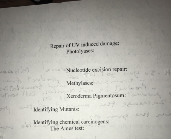 Repair of UV induced damage: Photolyases: Nucleotide excision repair: Methylases: Xeroderma Pigmentosum: Identifying Mutants: