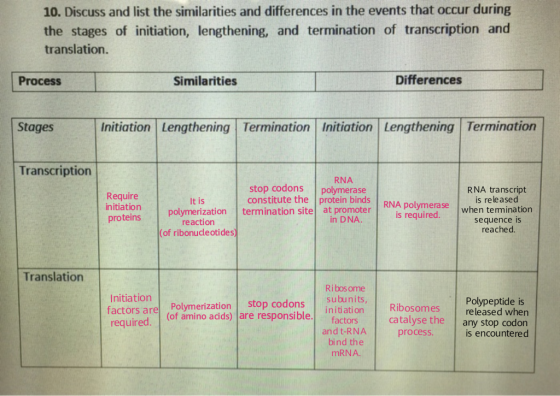 10. Discuss and list the similarities and differences in the events that occur during the stages of initiation, lengthening, and termination of transcription and translation. Process Similarities Differences Stages Initiation Lengthening Termination Initiation Lengthening Termination Transcription RNA stop codons polymerase constitute the protein binds RNA RNA transcript Require initiation polymerase.h is released is required. It is polymerization termination site at promoter when temi nation in DNA. reaction of ribonuceotides sequence is reached Translation Ri bos ome Initiation factors are Polymerization stop codons subunits, required. (of amino acids) are responsible. initiation Ribosomes Polypeptide is released when catalyse the any stop codon is encountere d factors and t-RNA bind the mRNA. procesS