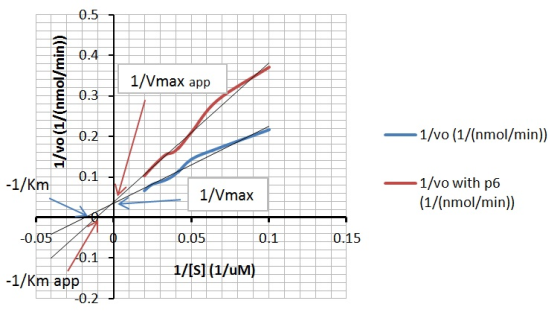 0.5 0.4 1/Vmax app 1/vo (1/(nmol/min)) 0.3 0.2 1/vo (1/(nmol/min)) 0.1 -1/Km 1/Vmax 1/vo with p6 (1/(nmol/min)) O 0.05 0.1 0.