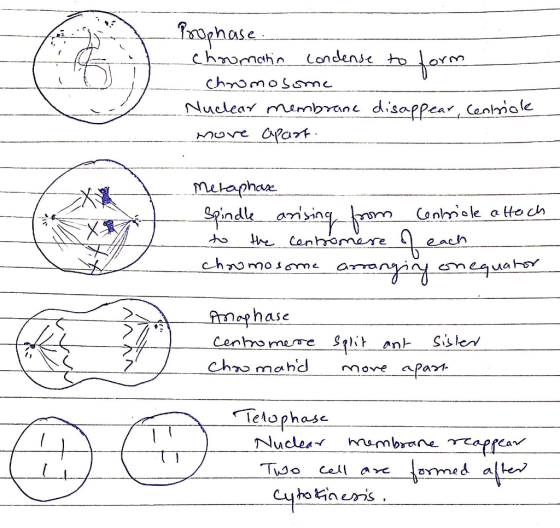 he con honore ua フ 、 Chn> rn and move apart